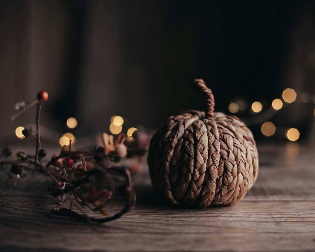 Источник: https://unsplash.com/  