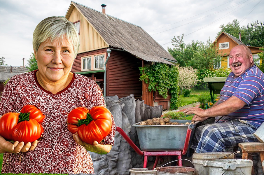 Коллаж @ Горбунов Сергей