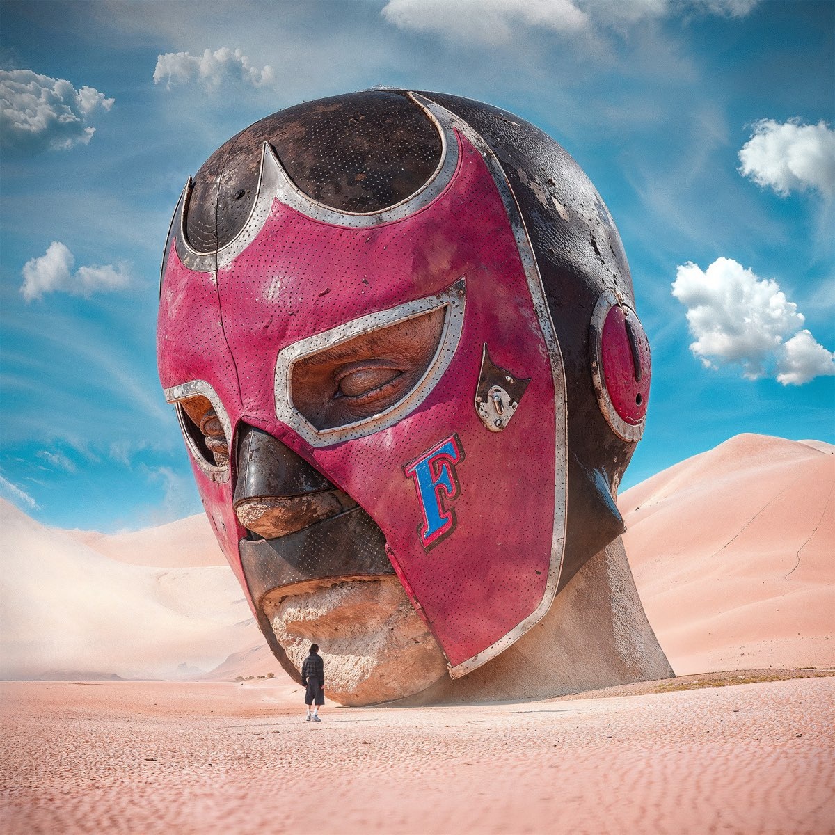 Обложка FLUDDALITY