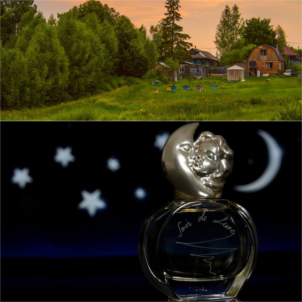 Фото из интернета