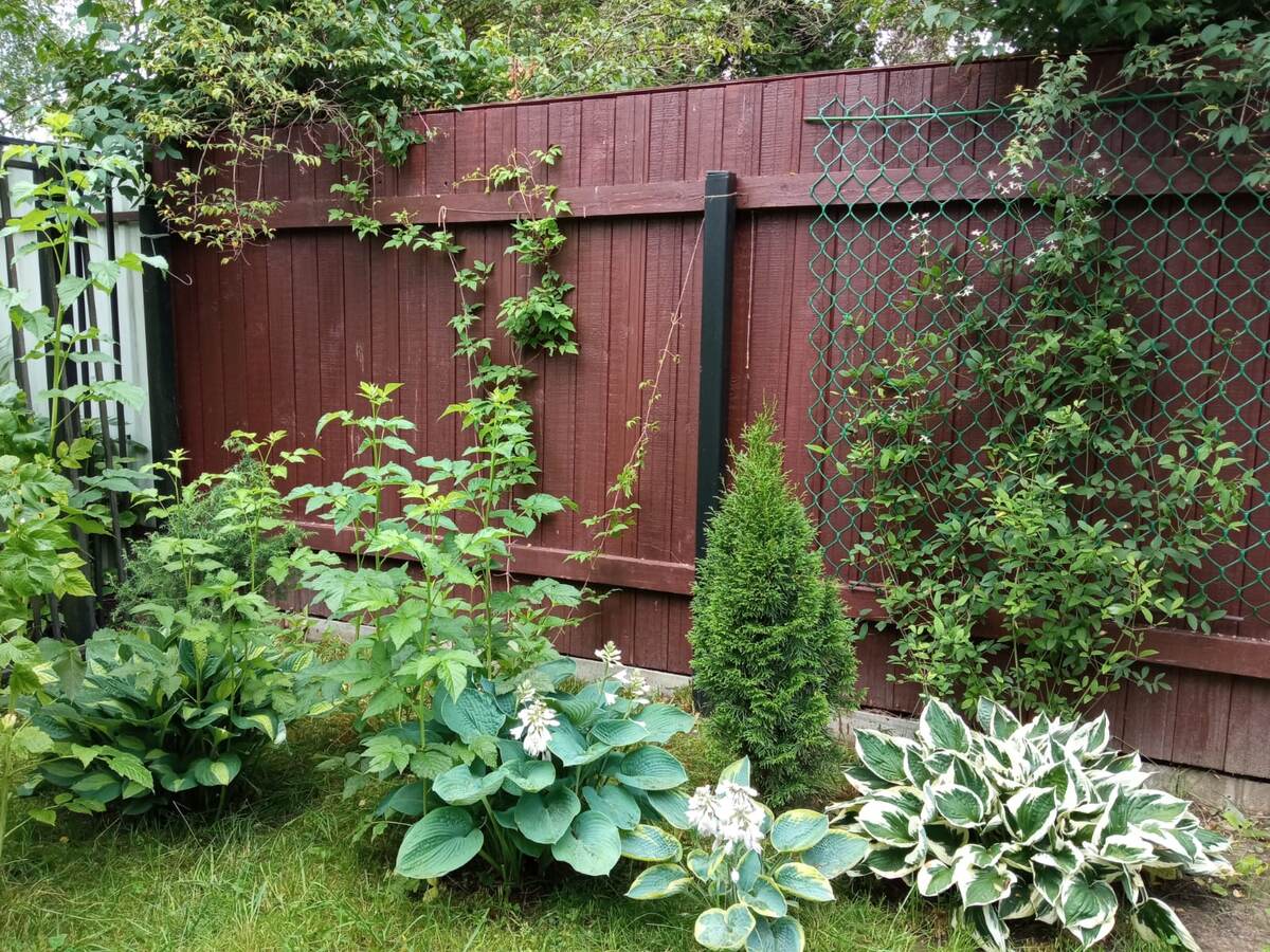 Обратите внимание, что под забором видны белые листы плоского шифера, которые вырыты в землю.