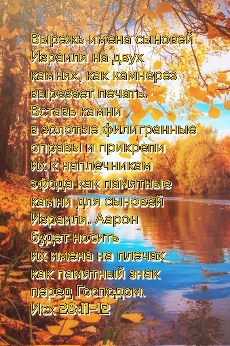 Книга Исход, Глава 29, Стихи 11-12