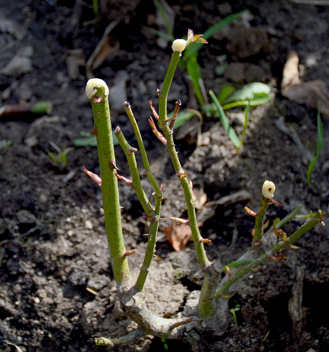 14 апреля 2024