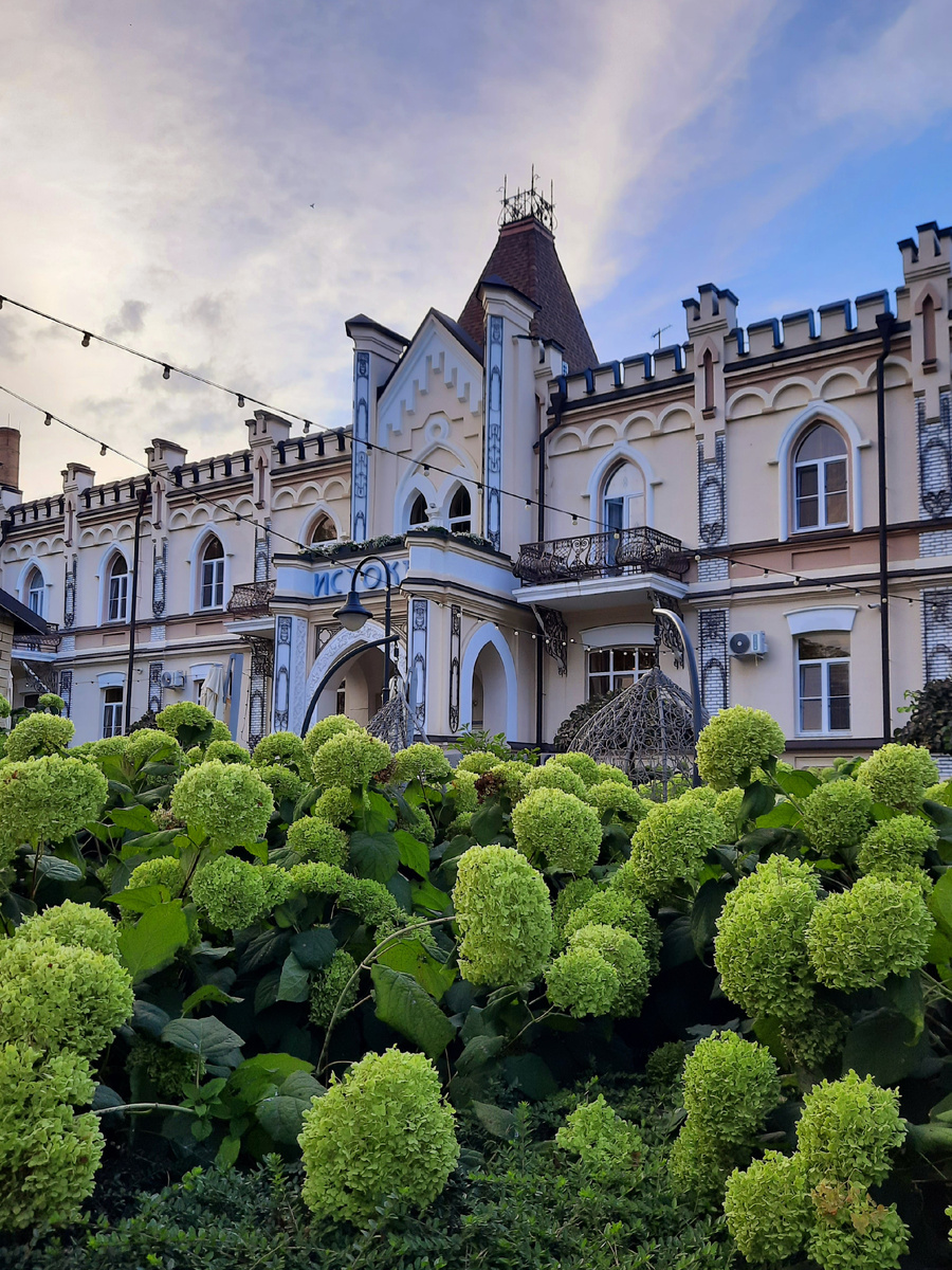 Гортензии😍