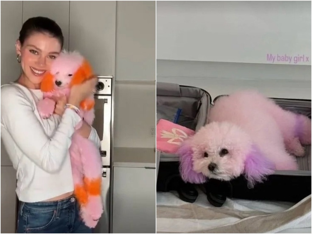 Никола Пельтц и ее собаки