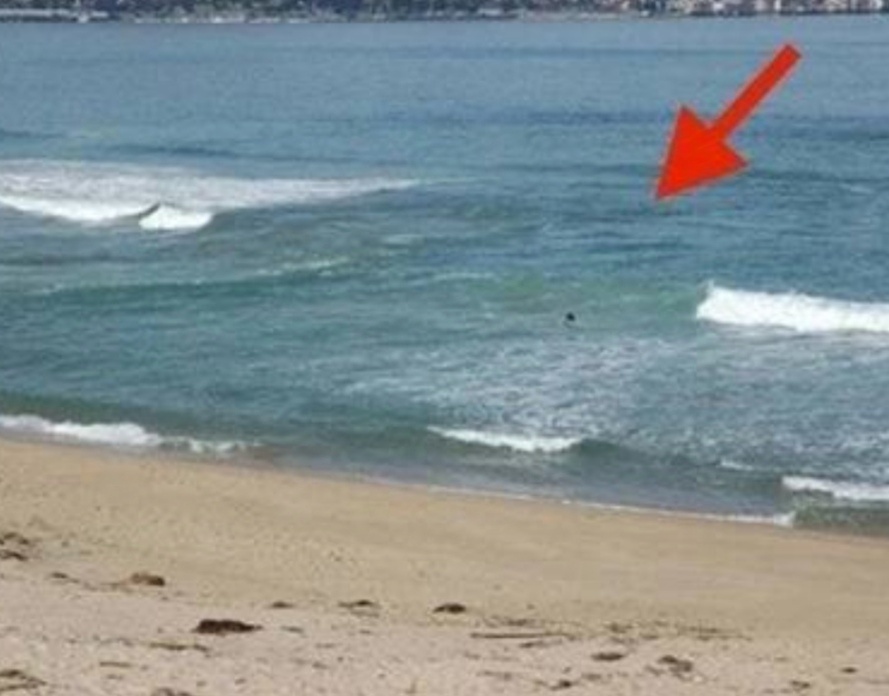 Открытый доступ. 