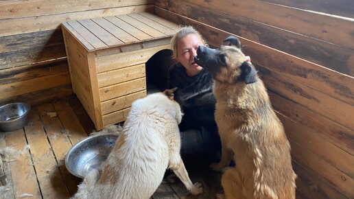 Собака бывает кусачей только от жизни собачей