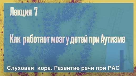 Лекция 7. Слуховая кора. Развитие речи при РАС| Как работает мозг у детей при аутизме | Психолог Дмитрий Крючков