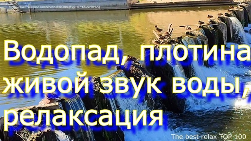 Водопад, плотина, живой звук воды, релаксация