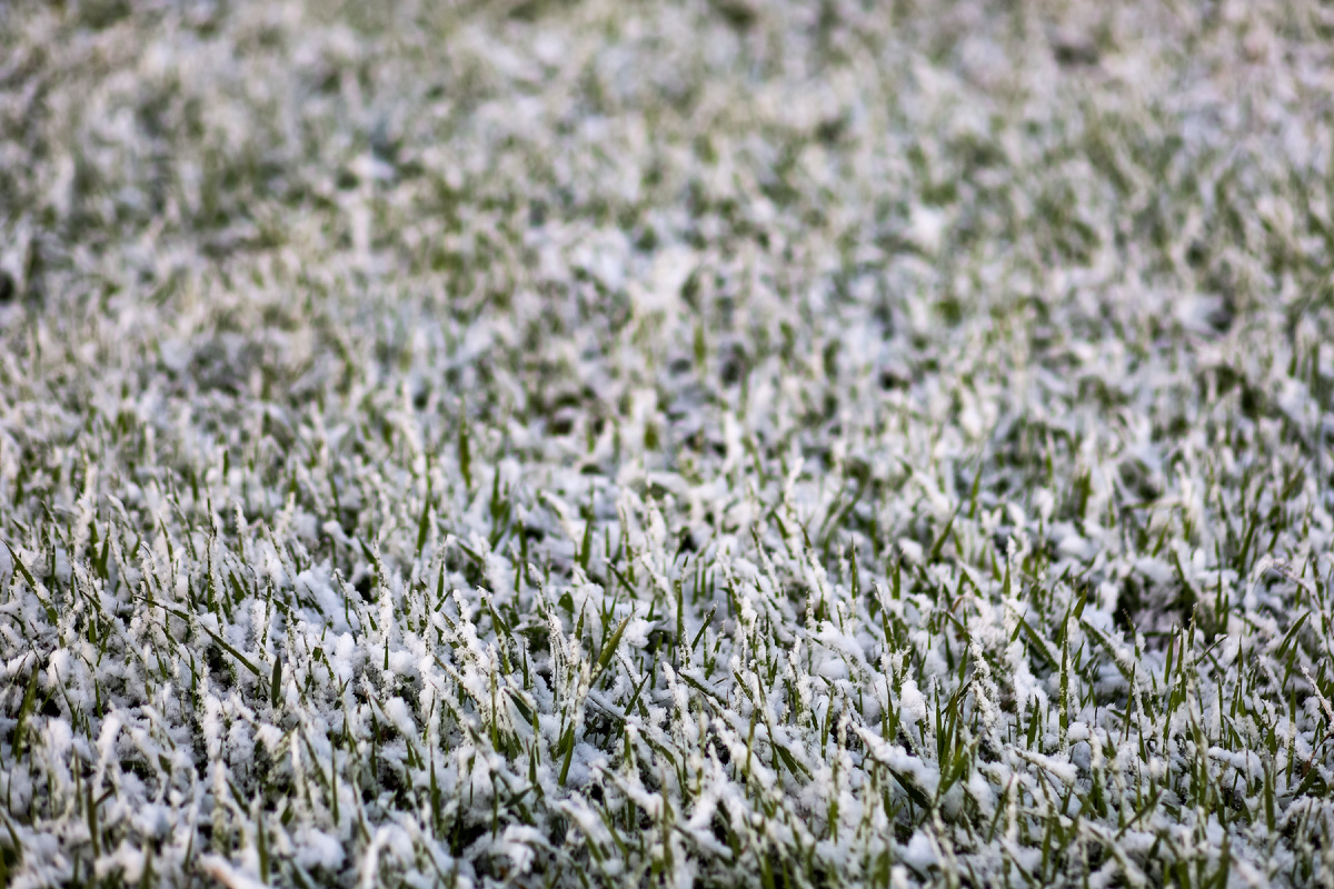 Elena Mayorova/Global Look Press