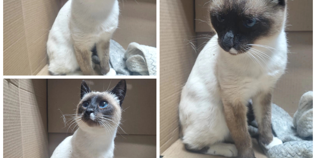 Поприветствуем новеньких