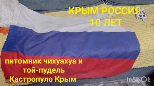 Русский Крым Россия вместе НАВСЕГДА#🇭🇹🇭🇹🇭🇹 #♥️♥️♥️ 18 Марта Крымская Весна 2024 #крымскаявесна