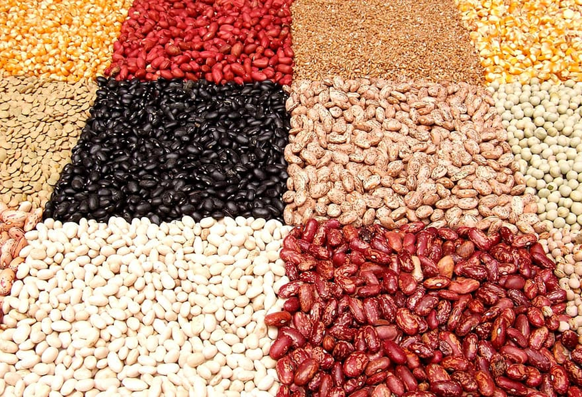 Фото из интернета