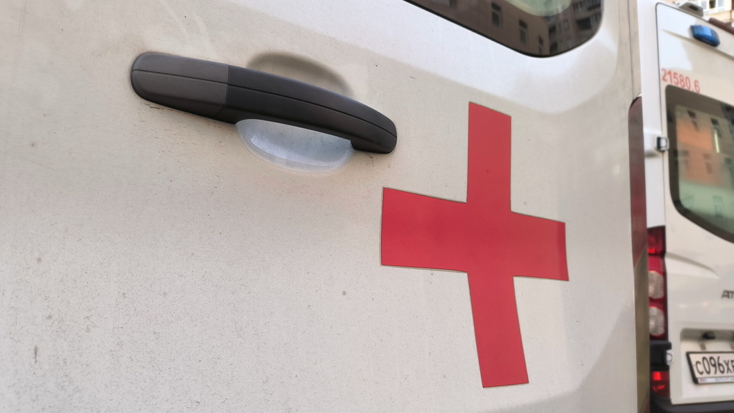    Фото: Maksim Konstantinov/Globallookpress