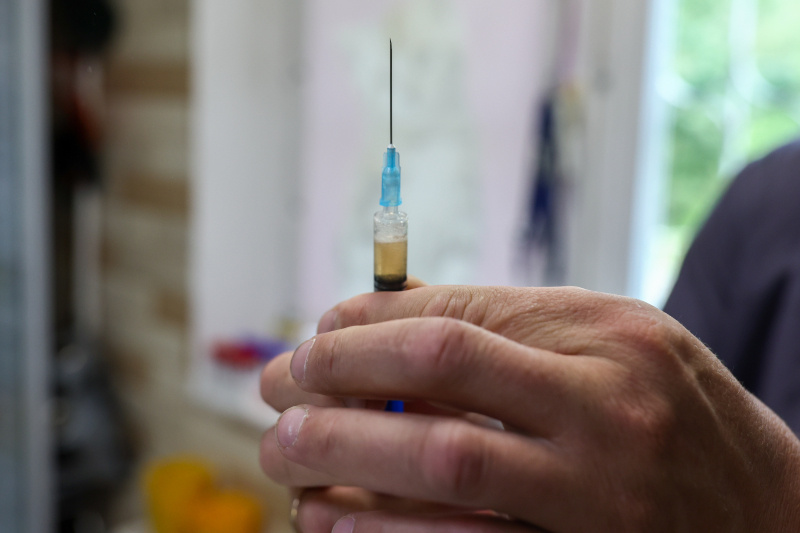    Фото: Petrov Sergey/Globallookpress