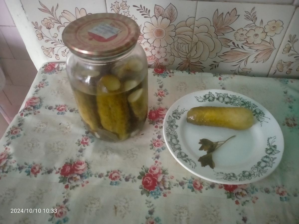 Мятные огурцы. Фотография автора 