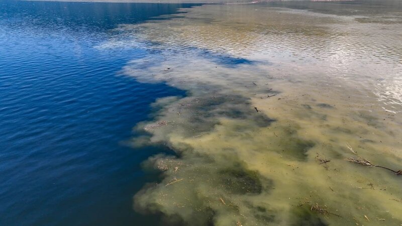     Сливание реки Чулышман и Телецкого озера. altzapoved.ru / Роман Воробьев, Татьяна Клименко