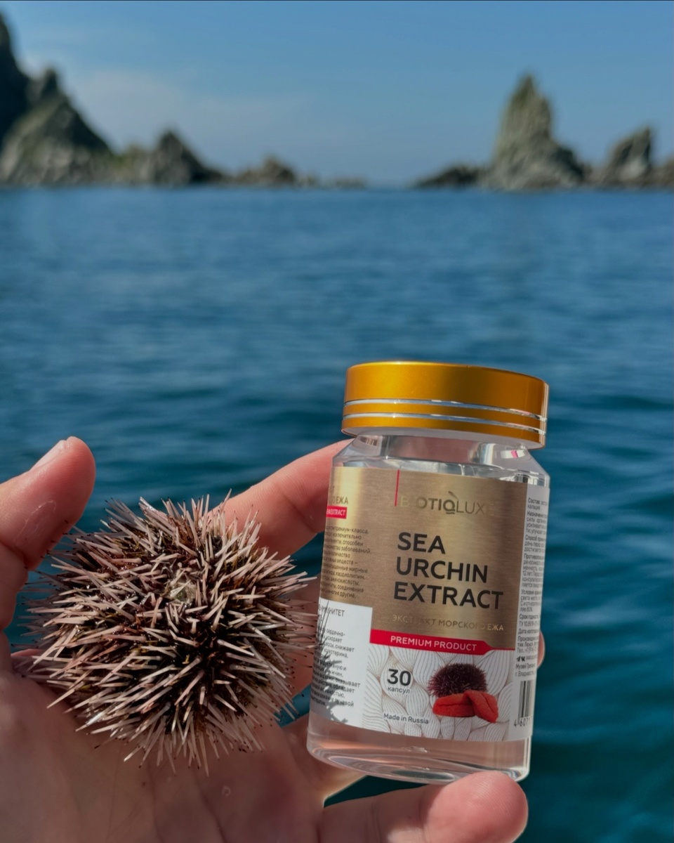 Концентрация микроэлементов
в тканях и икре ЕЖА в 10
раз выше, чем у рыб, и более
чем в 100 раз, чем у наземных животных.