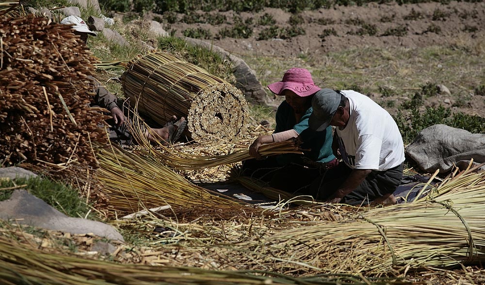 Индейцы региона озера Титикака до сих пор используют тотору