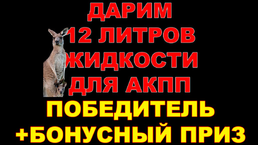 КТО ВЫИГРАЛ 12 ЛИТРОВ ЖИДКОСТИ АКПП + ЕЩЁ ОДИН ПРИЗЕР С ПООЩРИТЕЛЬНЫМ ПРИЗОМ. #конкурс