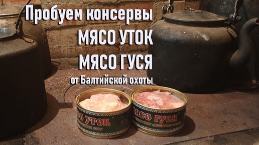 Пробуем консервы Мясо уток и Мясо гуся от Балтийской охоты, тушенка из дичи