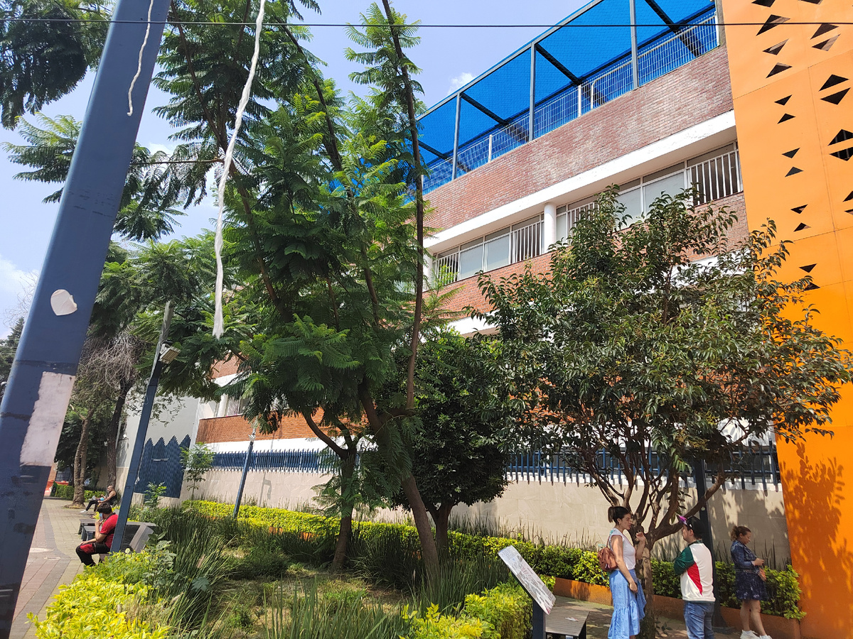 Не школа, а неприступная крепость. Фото автора