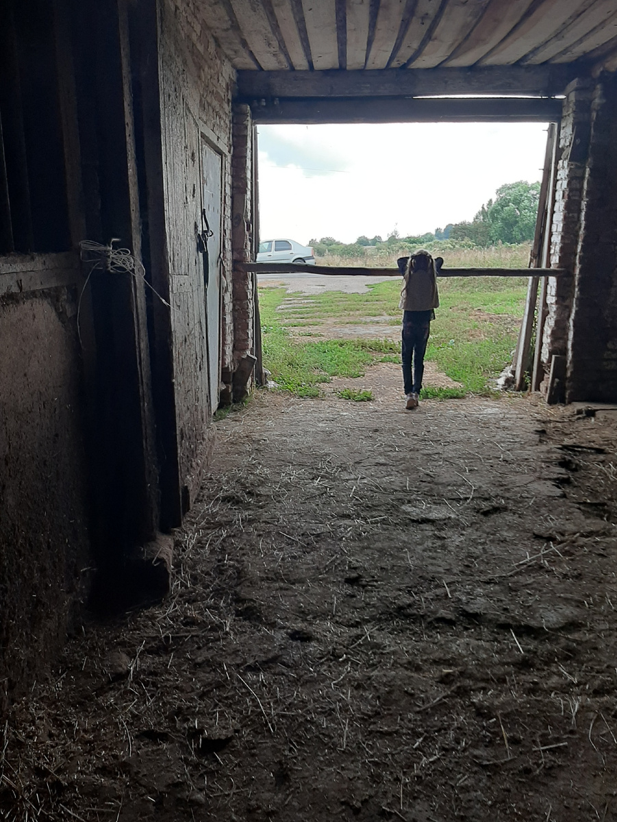 Конный племенной завод "Монастырское подворье". Юрьев-Польский, село Косинское 