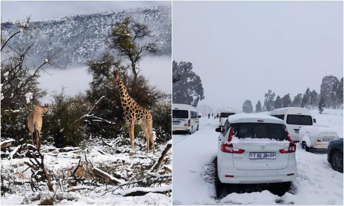 фото: картинки яндекса.