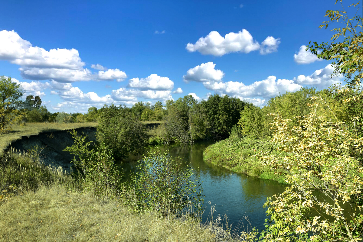 Река Терешка ниже села Нижняя Чернавка.