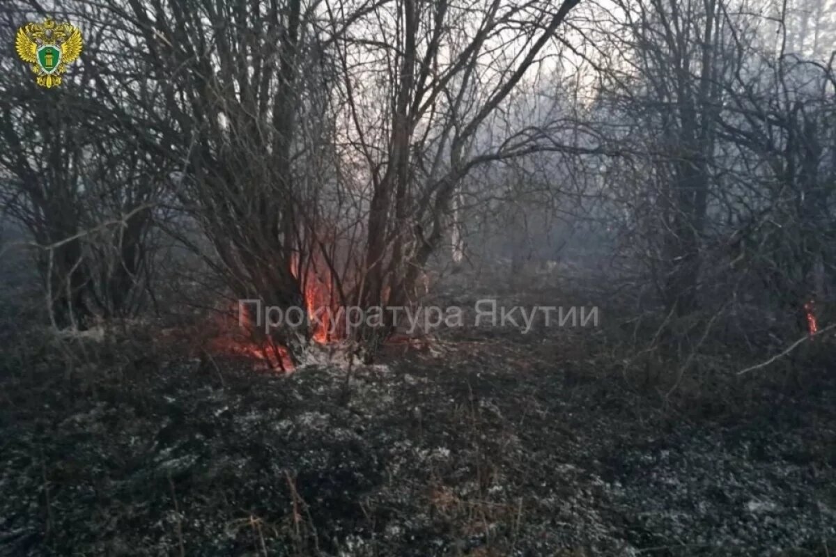    Виновника лесного пожара в Якутии обязали оплатить его тушение