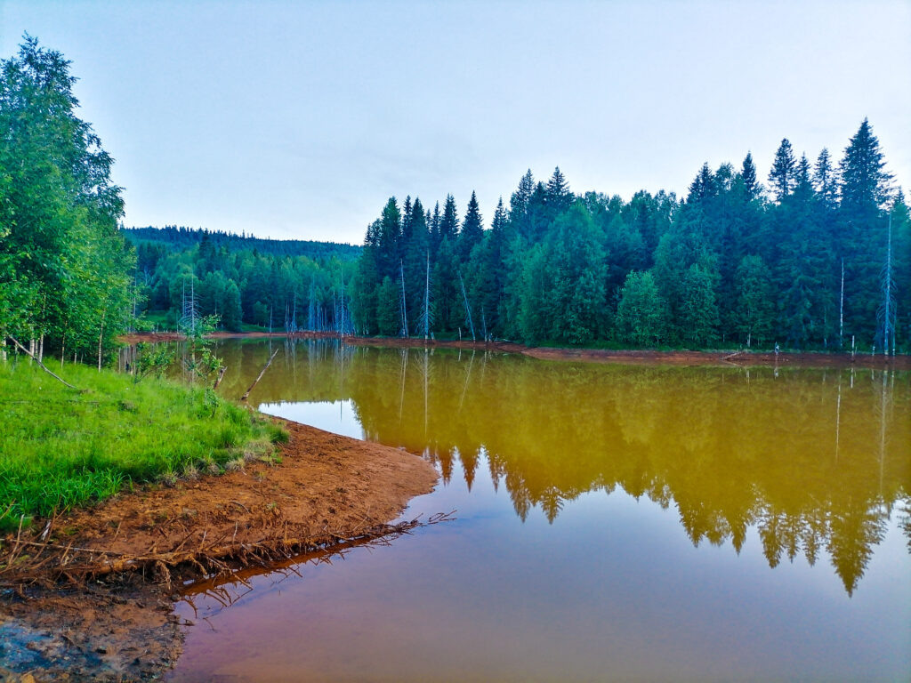    Фото Ульяны Бажановой Ульяна Бажанова