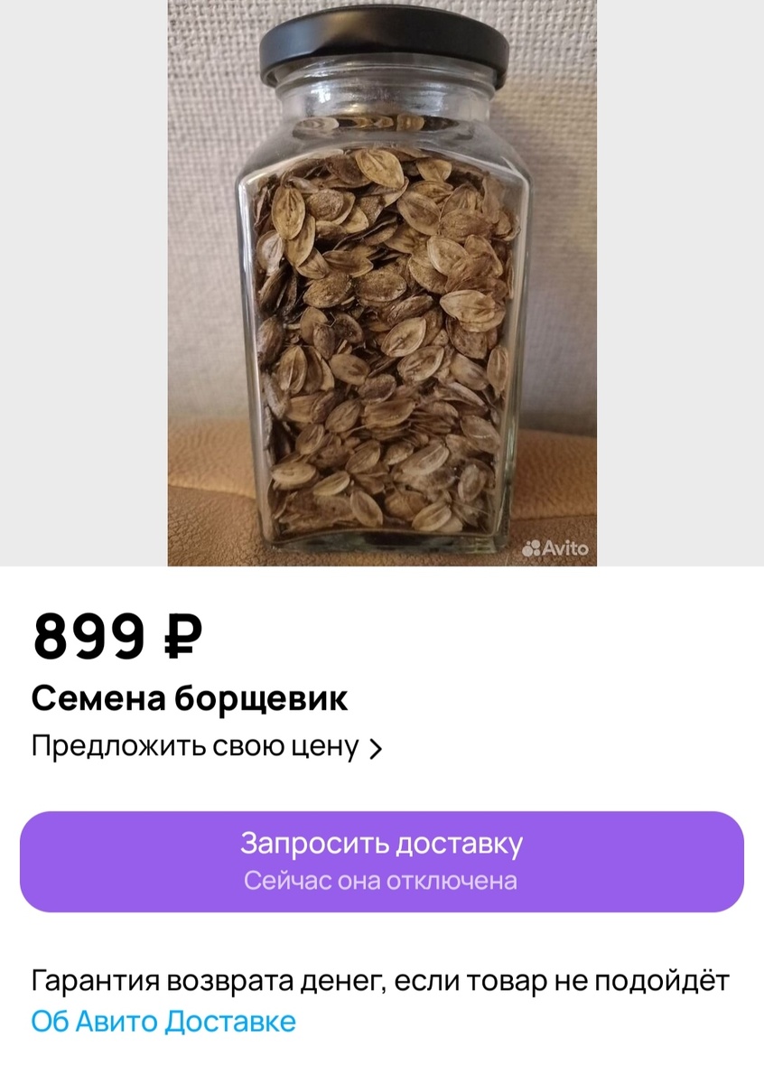 Скрин из Авито