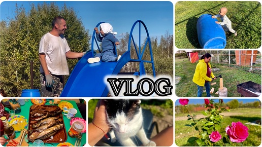 下载视频: VLOG 15.09-23.09.24 ДАЧА | ПЕРВЫЕ ЗАМОРОЗКИ | ГОСТИ | БИЗНЕС НА БОЧКАХ | КОПТИМ РЫБУ | ШАШЛЫК | БЕЗДОМНЫЕ КОТИКИ | ВЕСЬ ОГОРОД ПОМЕРЗ | РОЗА