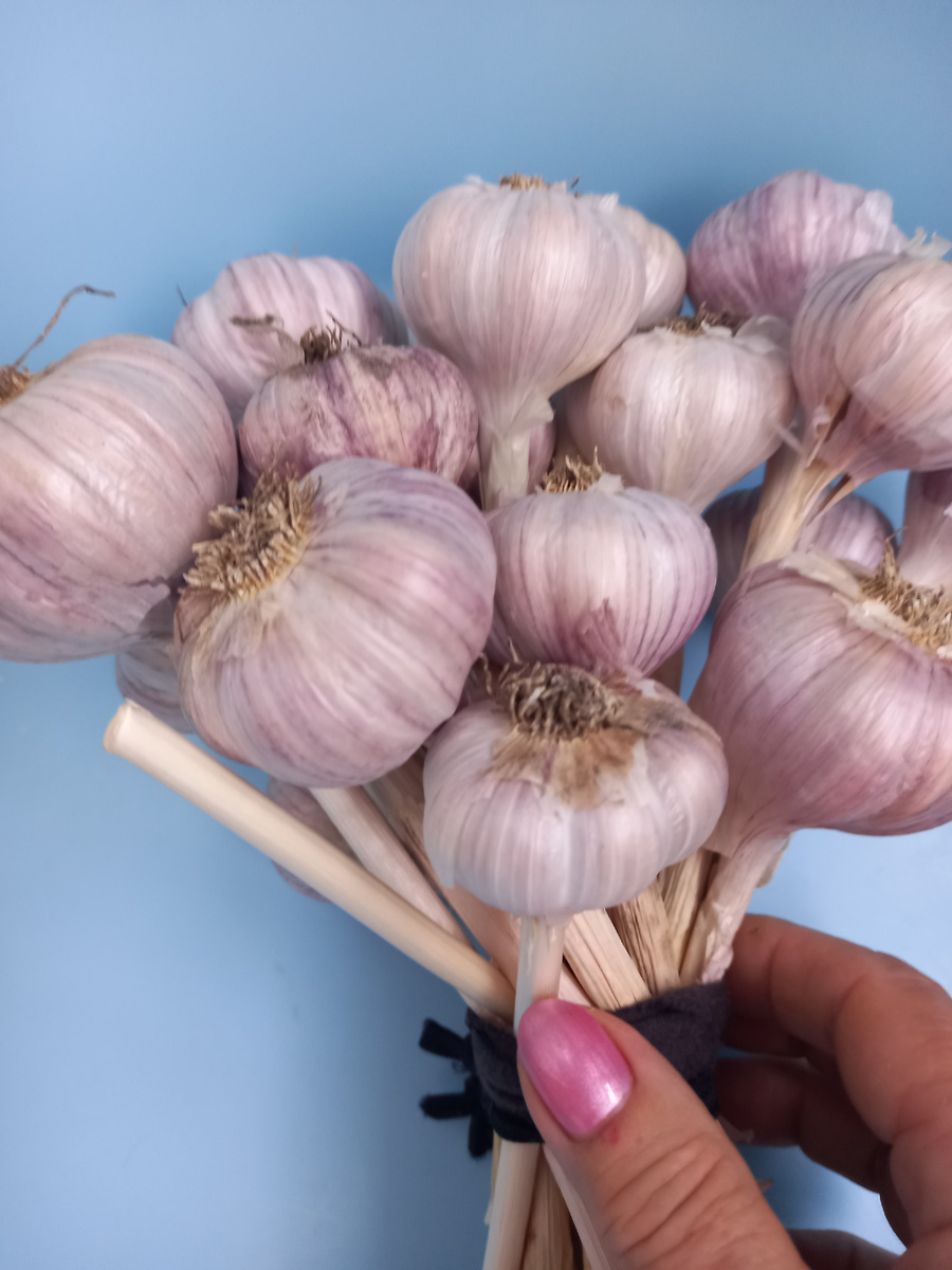 Надо выбирать...