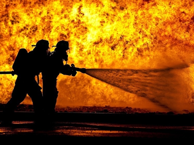     Фото: pxhere.com