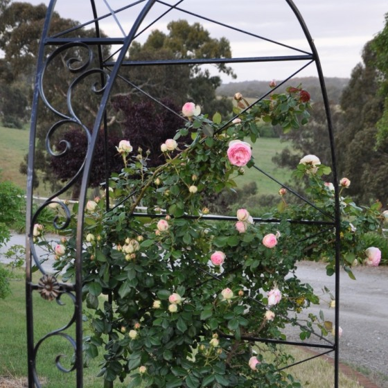  Пьер де Ронсар 