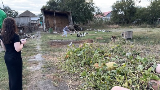 Ставропольский край.Семейная поездка.Часть четвертая.