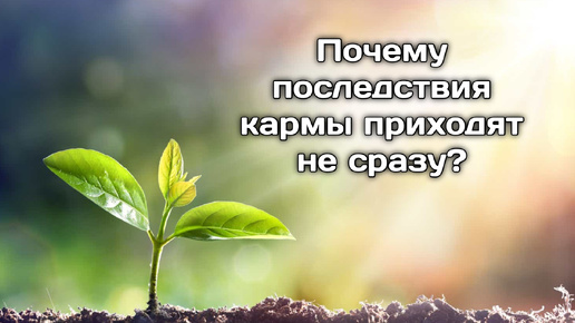 Почему результаты поступков по карме приходят не сразу, а через время?