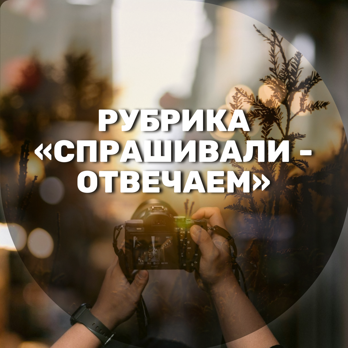 Источник: Unsplash