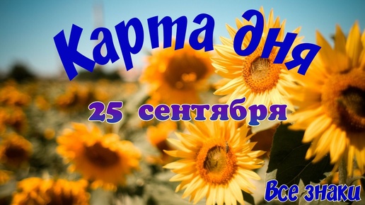 Карта дня🍀25 сентября🌞 Пасьянс. Тайм-код в описании🦢