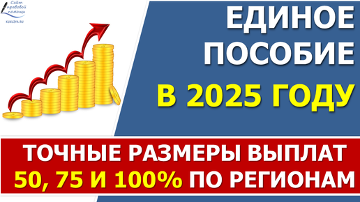 На сколько вырастут размеры Единого пособия в 2025 году