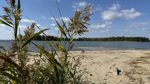 Обское водохранилище. Боровские судаки.