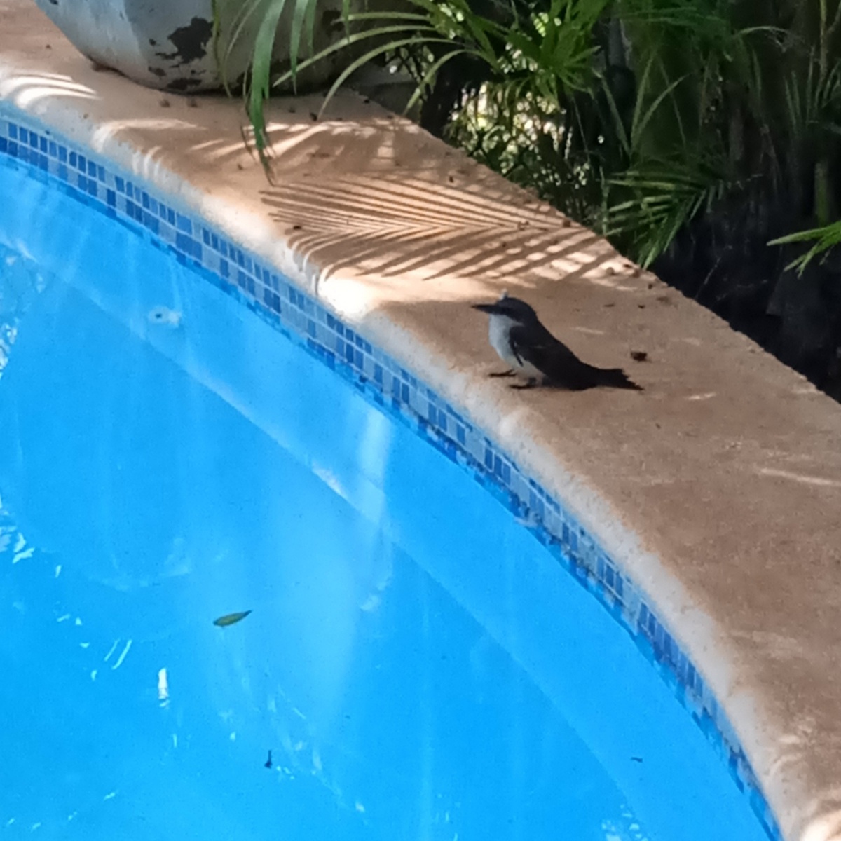 Благодарю за фото Любовь БОЙЦОВУ)