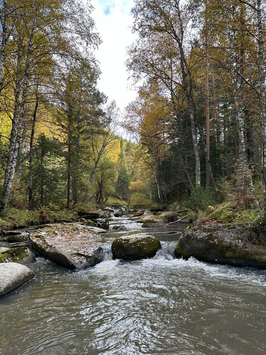 Природа Западной Сибири в России.
