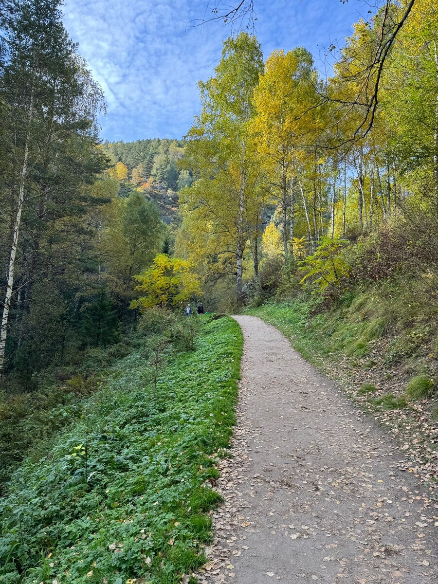 Природа Белакурихи осенью.