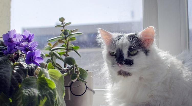 Фото: Светлана Солодовникова