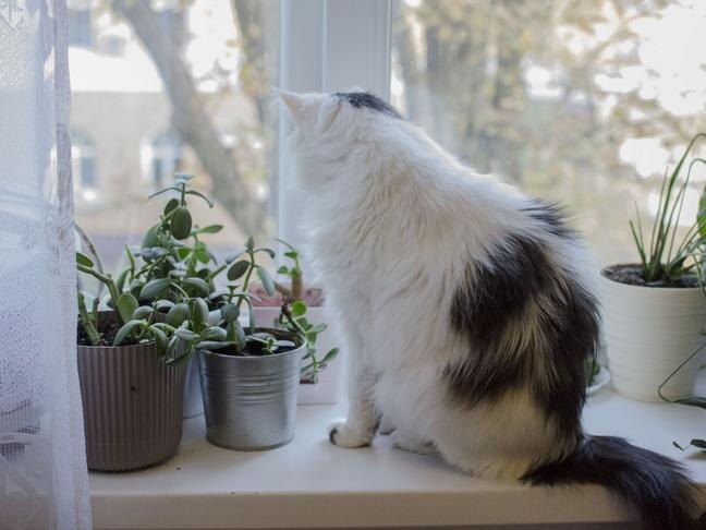 Фото: Светлана Солодовникова