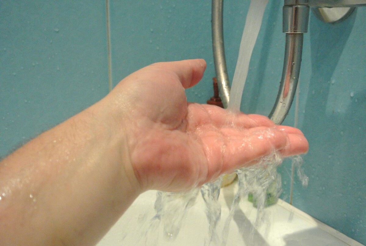 Фото: Алексей Кунилов/«Областная газета Свердловской области»