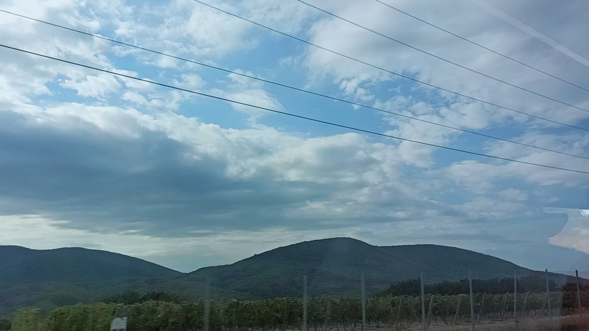 Дорога в Абрау-Дюрсо