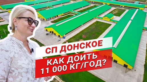 Как доить 11 000 кг/год? | СП Донское | Вера Пузанкова | Заготовка силоса | Молочное животноводство